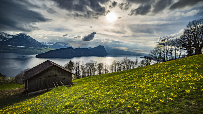 Im Kräuter Hotel Edelweiss den Sommer bewusst erleben